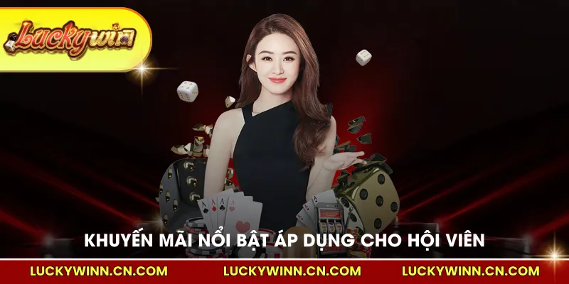 Khuyến mãi nổi bật áp dụng cho hội viên